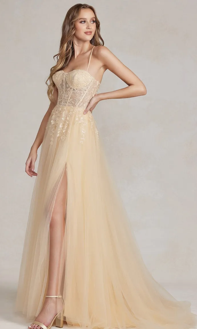 A-Line Long Lace Prom Dress with Sheer Waist