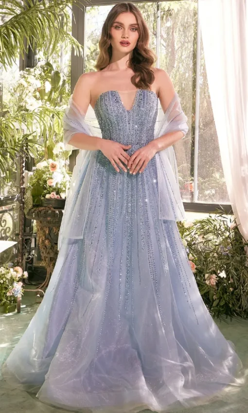 Andrea and Leo Long Formal Dress A1369