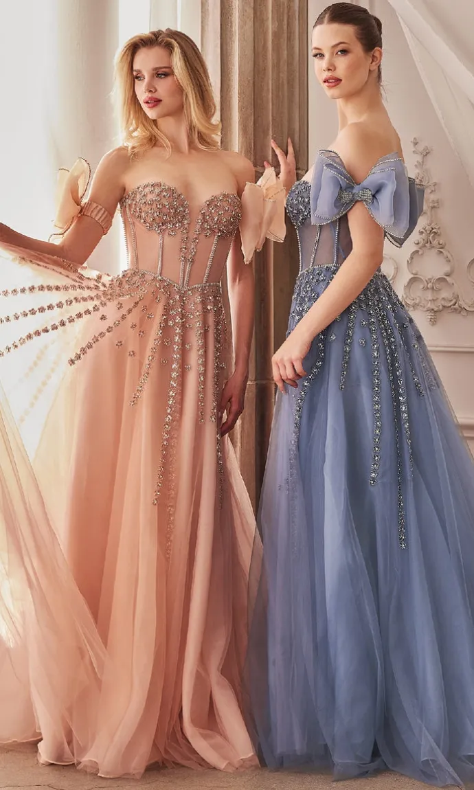 Formal Long Dress A1338 By Andrea and Leo