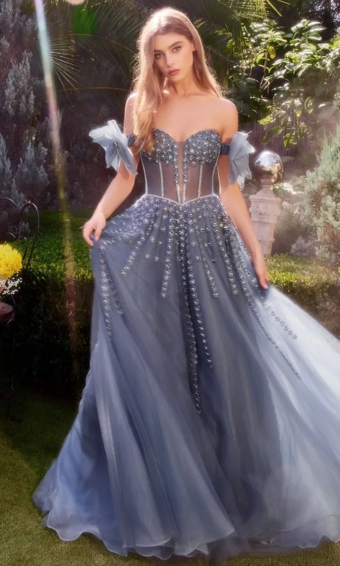 Formal Long Dress A1338 By Andrea and Leo