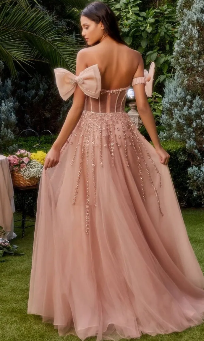 Formal Long Dress A1338 By Andrea and Leo