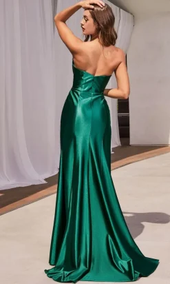 Formal Long Dress CDS487 By Ladivine