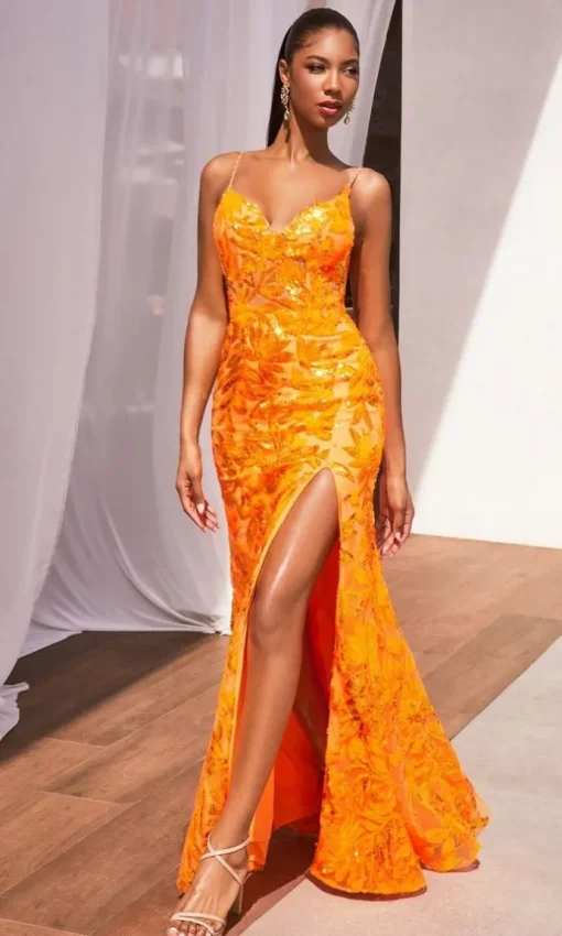 Formal Long Dress Cm350 by Ladivine