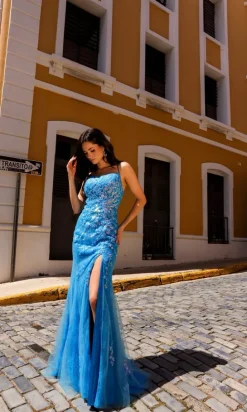 Formal Long Dress P1401 By Nox Anabel