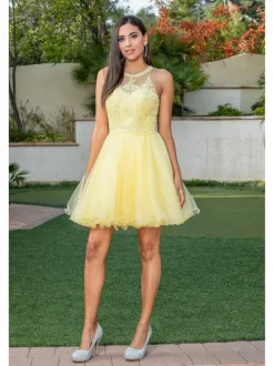 High-Neck Babydoll Fancy Short Homecoming Dress