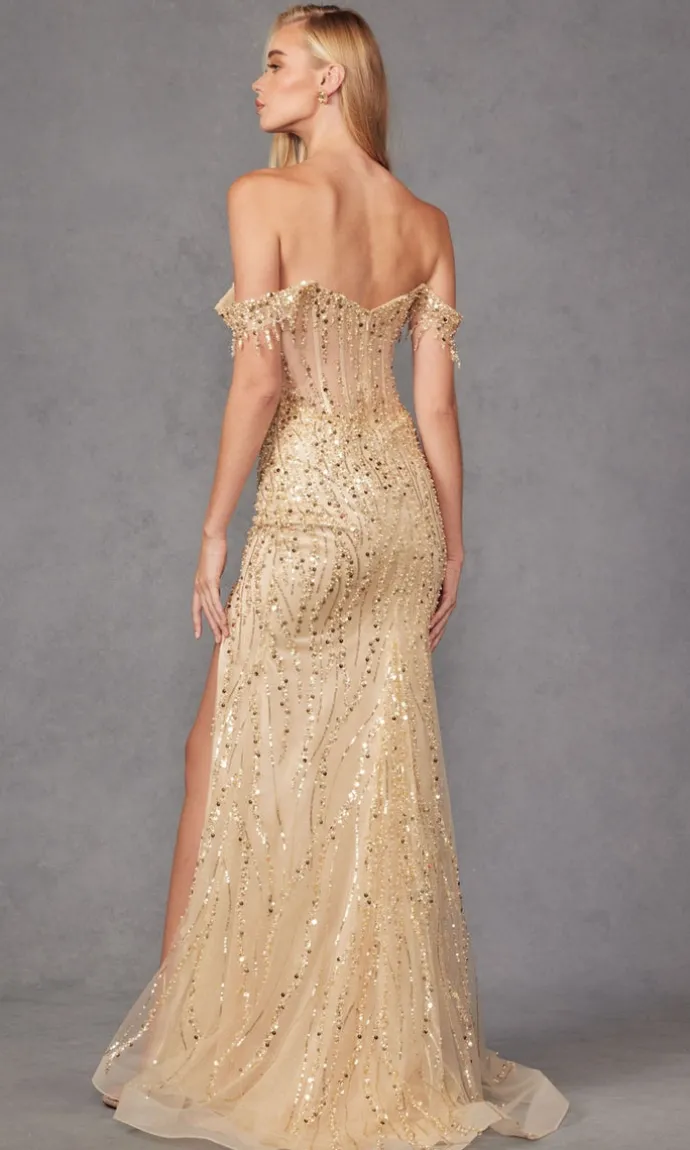 Juliet Long Formal Dress JT2471L