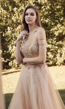 Juliet Long Formal Dress 287