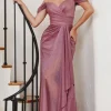 Ladivine Long Formal Dress cd878