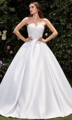 Ladivine Long Formal Dress cds512w