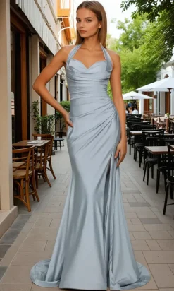 Ladivine Long Formal Dress CD796