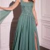 Ladivine Long Formal Dress CDS509