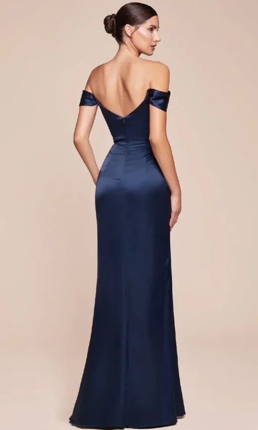Ladivine Long Formal Dress 7492-1