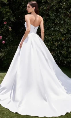 Ladivine Long Formal Dress cds512w