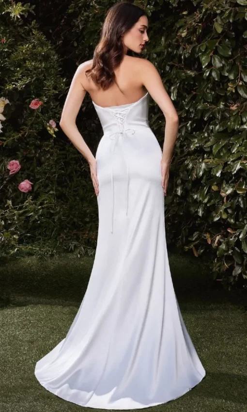 Ladivine Long Formal Dress 7451W