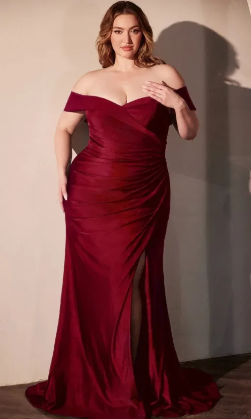 Ladivine Long Formal Dress CD790C