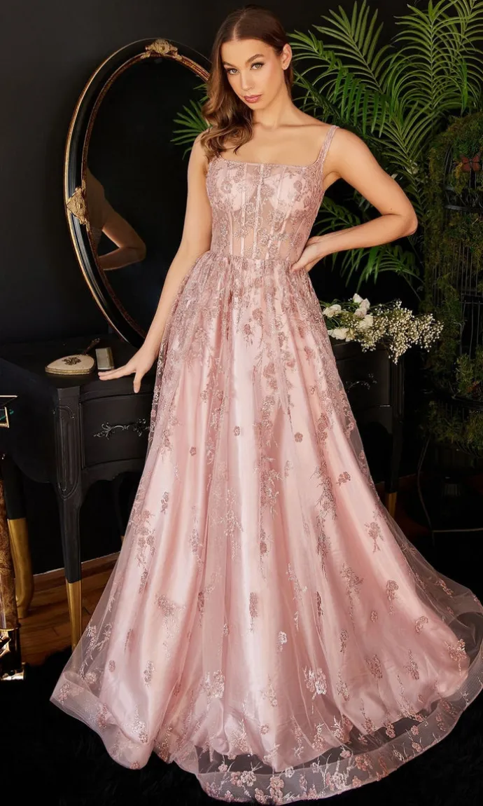 Ladivine Long Formal Dress j840