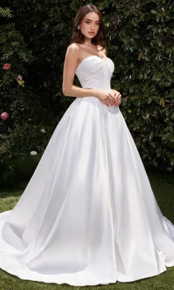 Ladivine Long Formal Dress cds512w