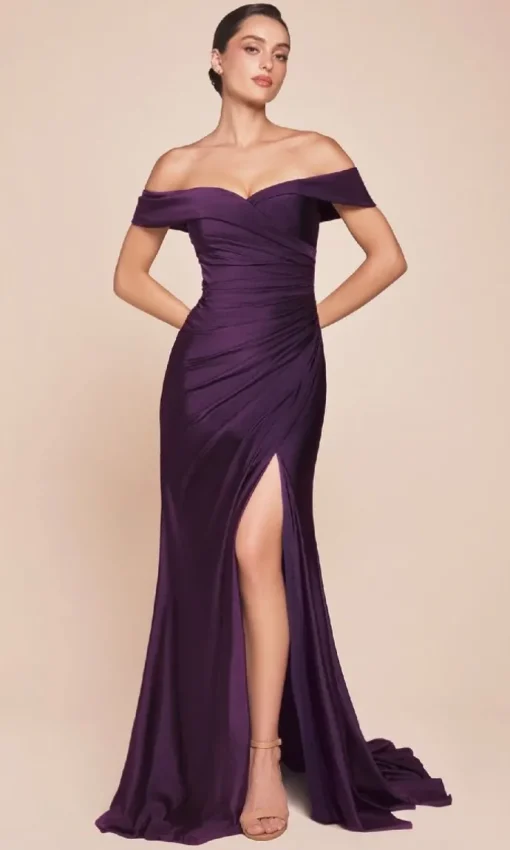 Ladivine Long Formal Dress CD790