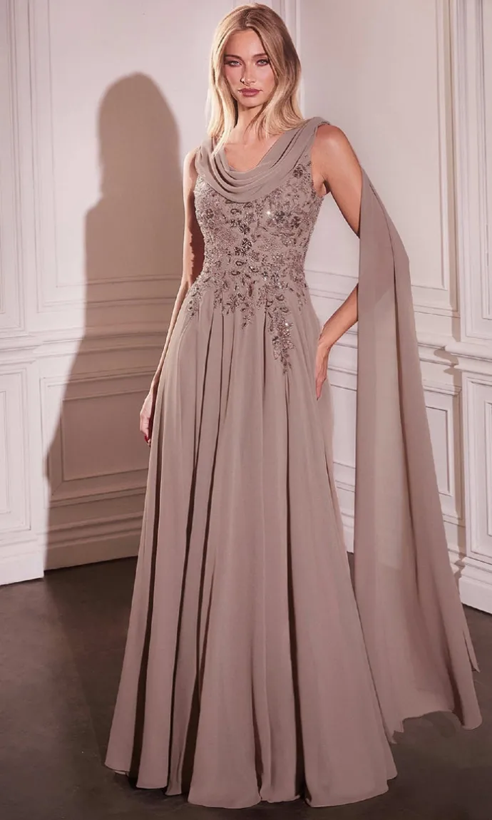 Ladivine Long Formal Dress CDS509