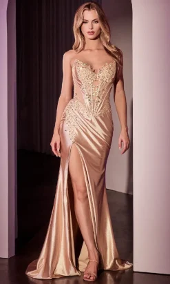 Ladivine Long Formal Dress CDS521