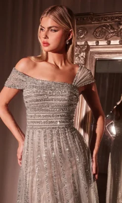 Ladivine Long Formal Dress CD0238