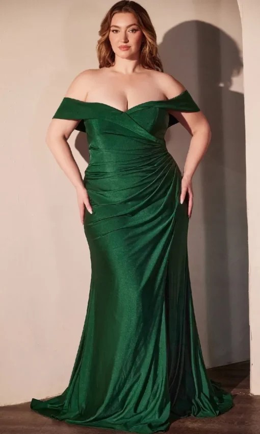 Ladivine Long Formal Dress CD790C