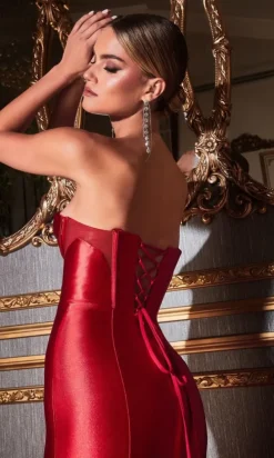 Ladivine Long Formal Dress CD294