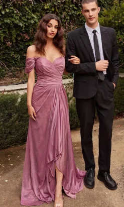 Ladivine Long Formal Dress cd878