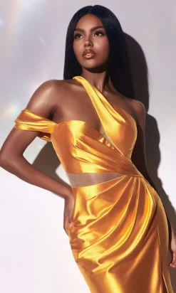 Ladivine Long Formal Dress y025