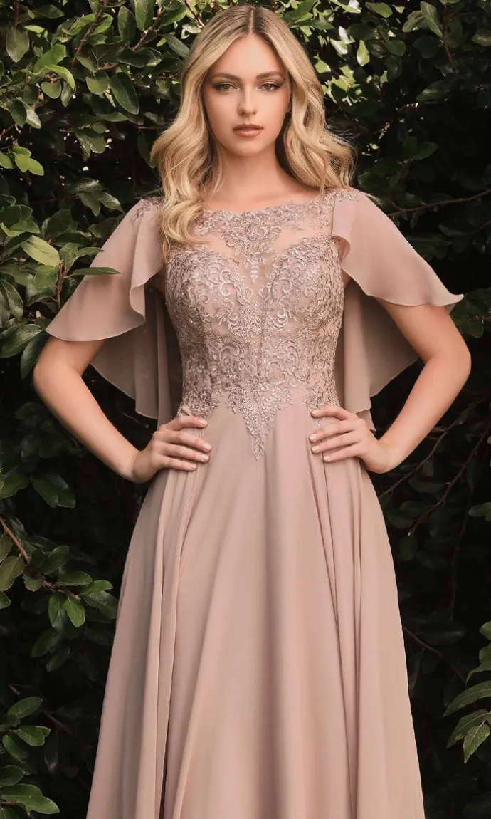 Ladivine Long Formal Dress HT101
