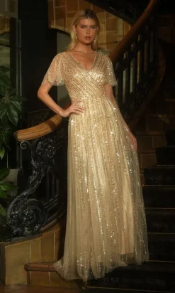 Ladivine Long Formal Dress CD0241