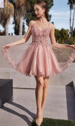 Ladivine Short Party Dress CD0213