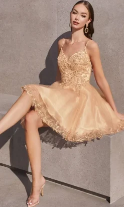 Ladivine Short Party Dress CD0213