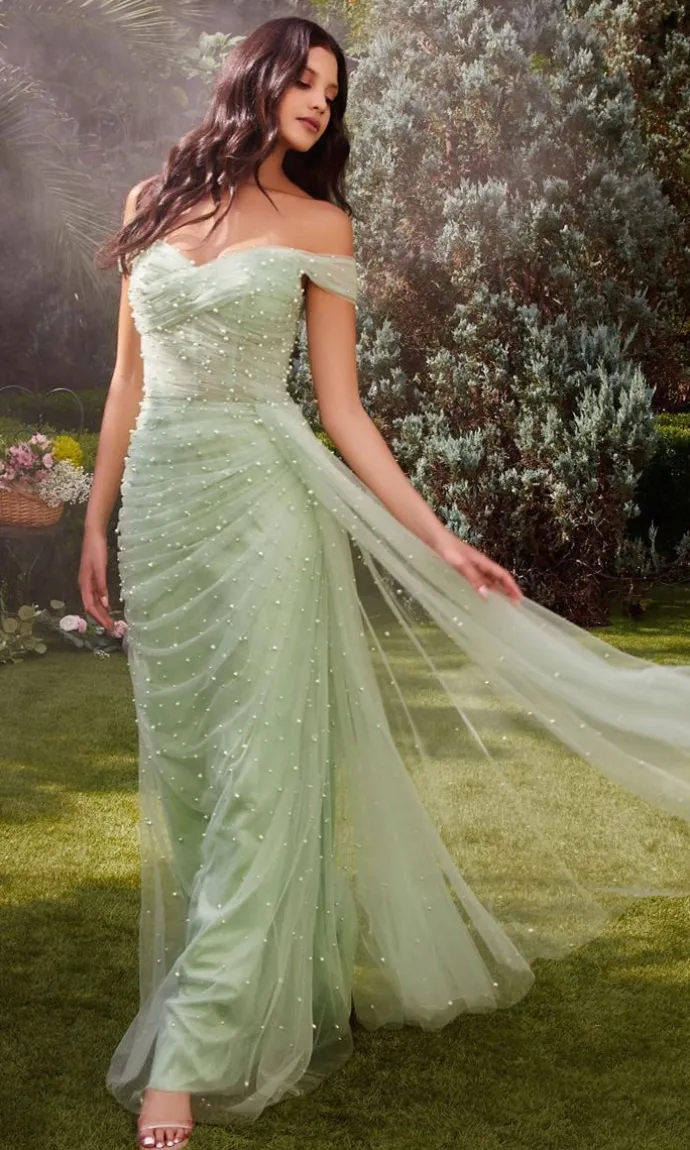 Long Formal Dress A1219 by Andrea & Leo