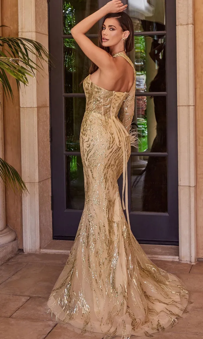 Long Formal Dress CB131 by Ladivine