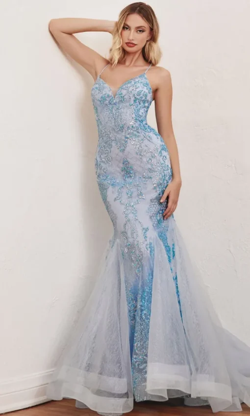 Long Formal Dress CC2279 by Ladivine