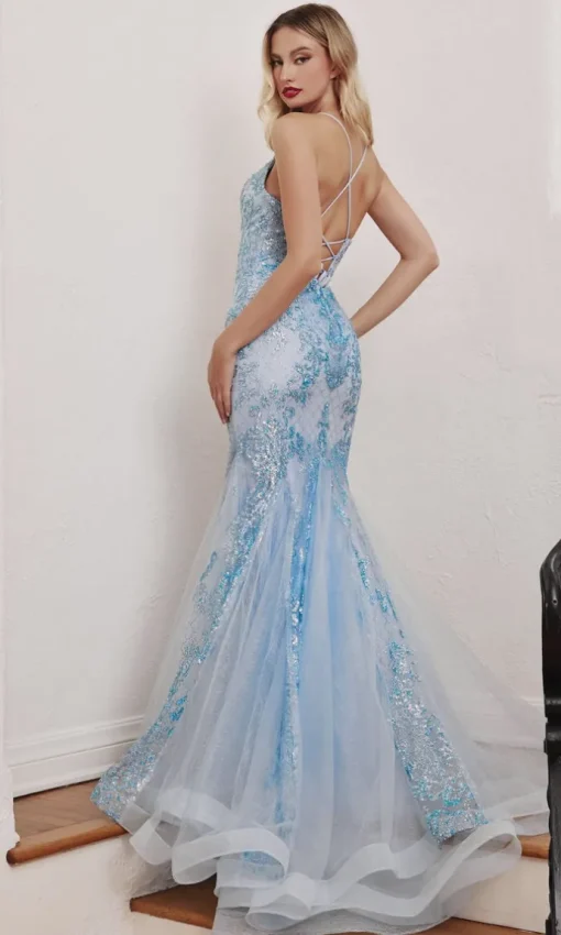 Long Formal Dress CC2279 by Ladivine