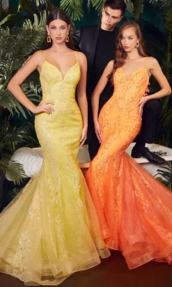 Long Formal Dress CC2279 by Ladivine