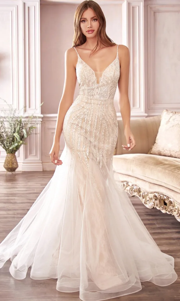 Long Formal Dress CDS401 by Ladivine