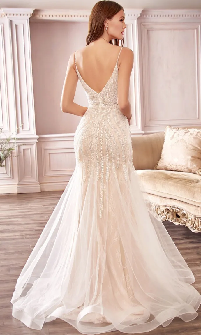 Long Formal Dress CDS401 by Ladivine