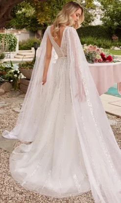 Long Formal Dress CD852W by Ladivine