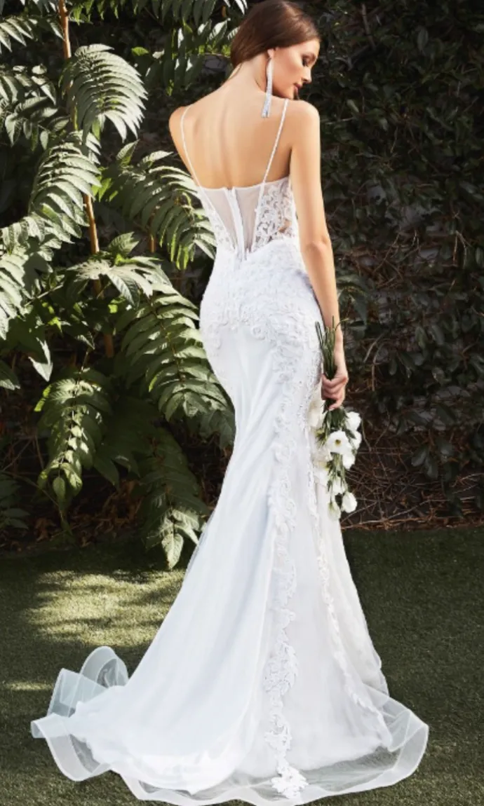 Long Formal Dress CD937W by Ladivine