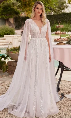 Long Formal Dress CD852W by Ladivine