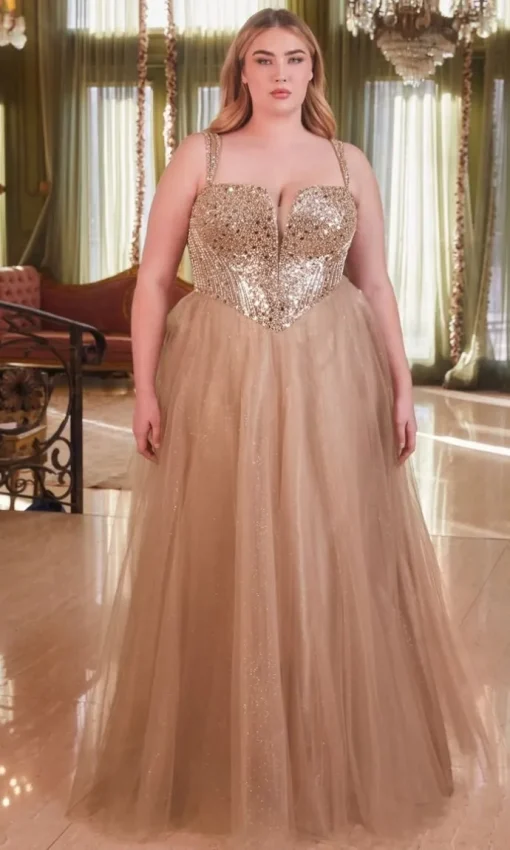 Long Plus-Size Formal Dress Cd0217C by Ladivine