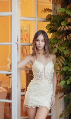 Nox Anabel Short Party Dress s848